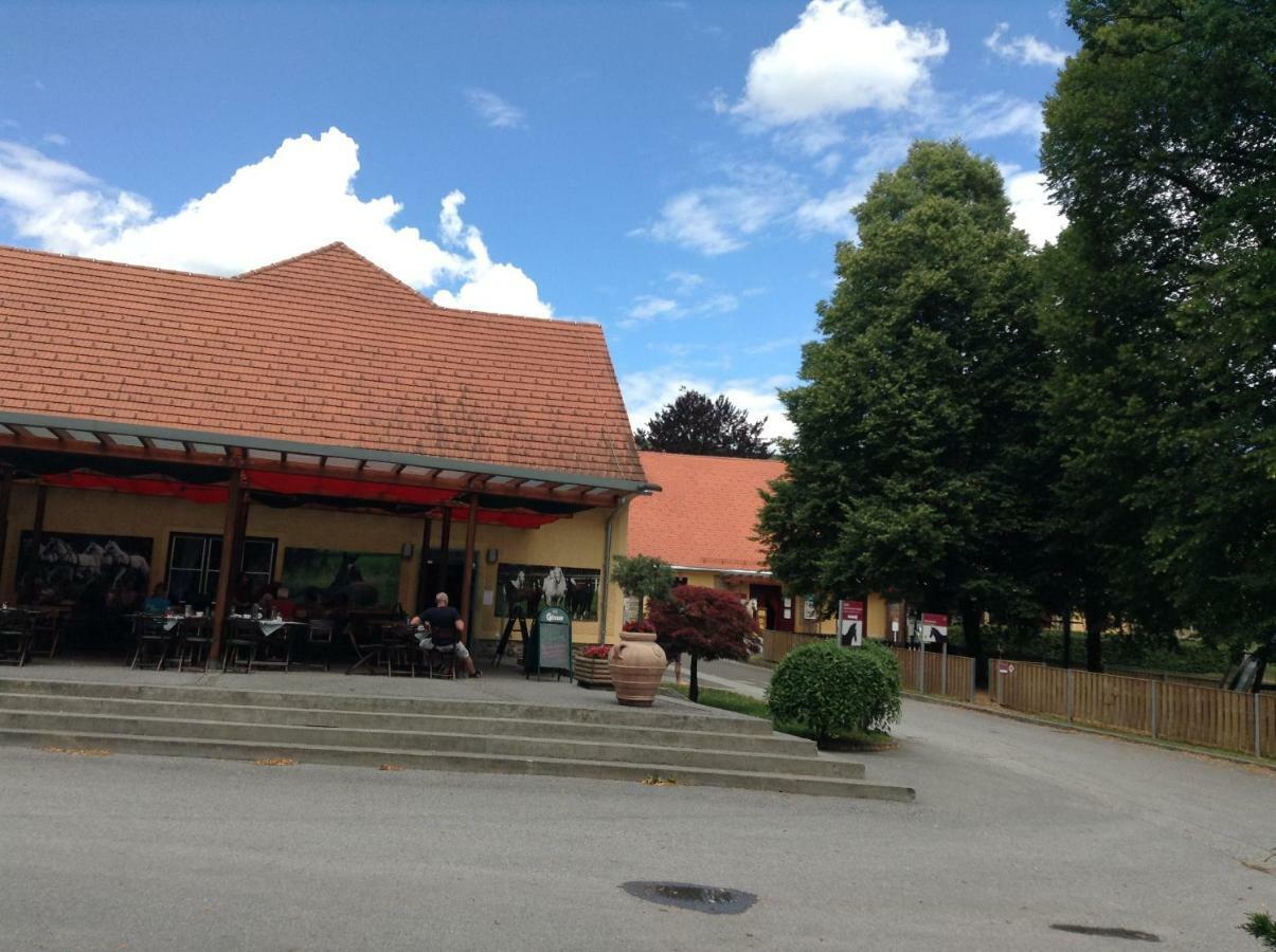 Weststeirische Ferienwohnung Piber Extérieur photo